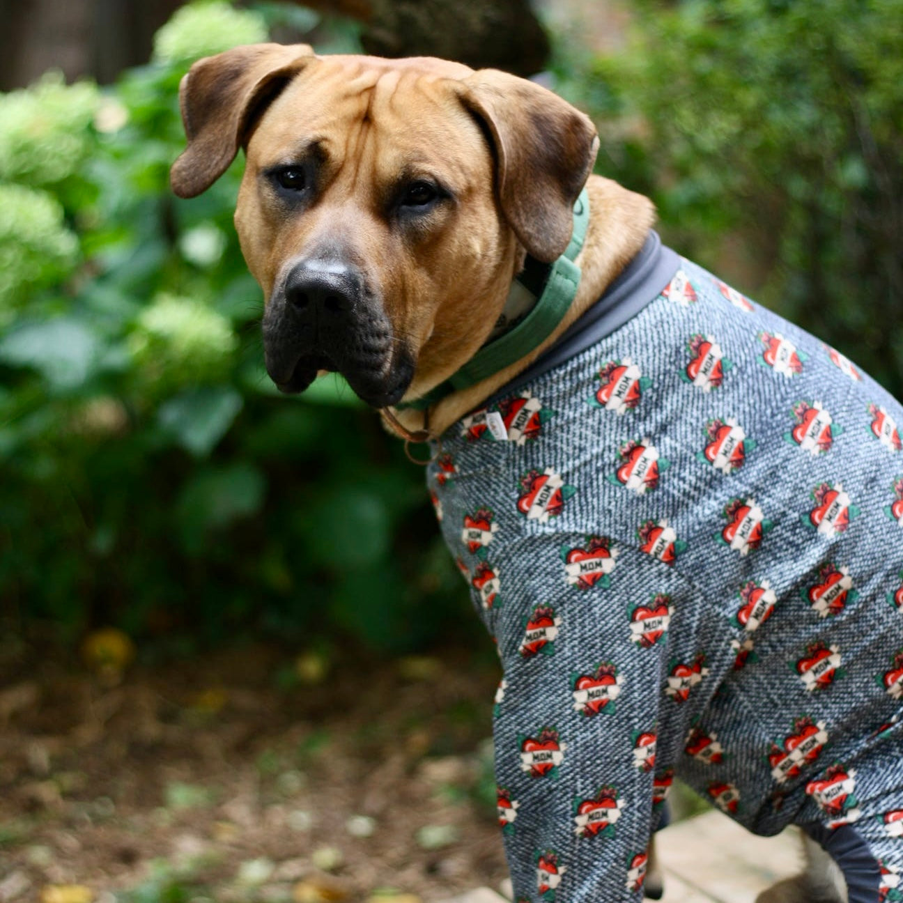 Side view of bully breeds, sitting in mom, printed bully, love, boutique PJs, showing neck, and chest fit
