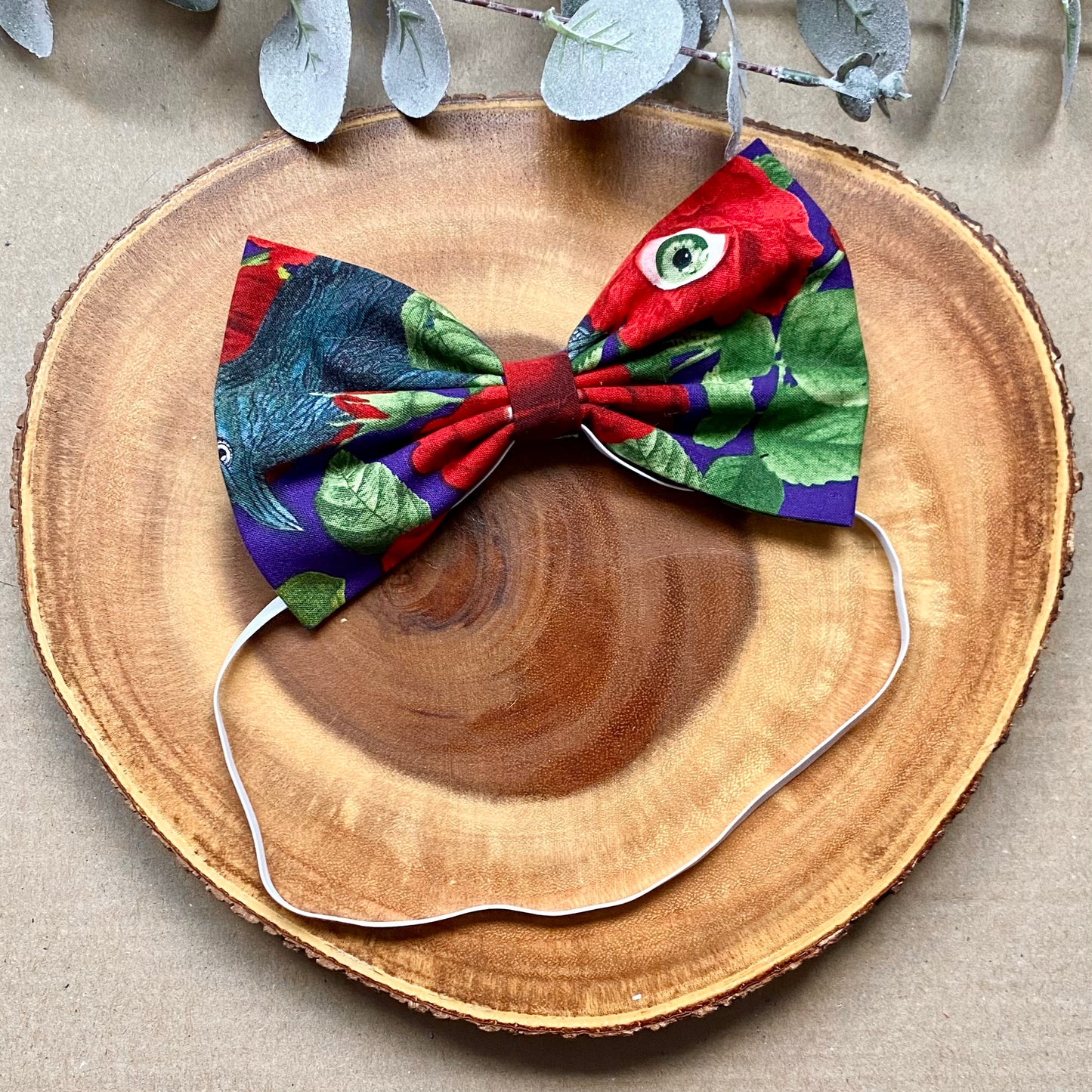 I’ve Got a Eye On You Dog Bowtie & Head Bow