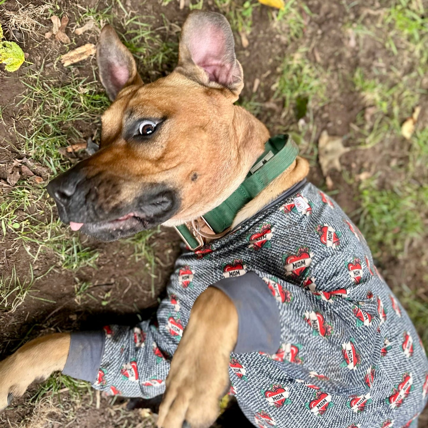 Bully laying on its back wearing Mom printed bully, love boutique PJs wide chest fit