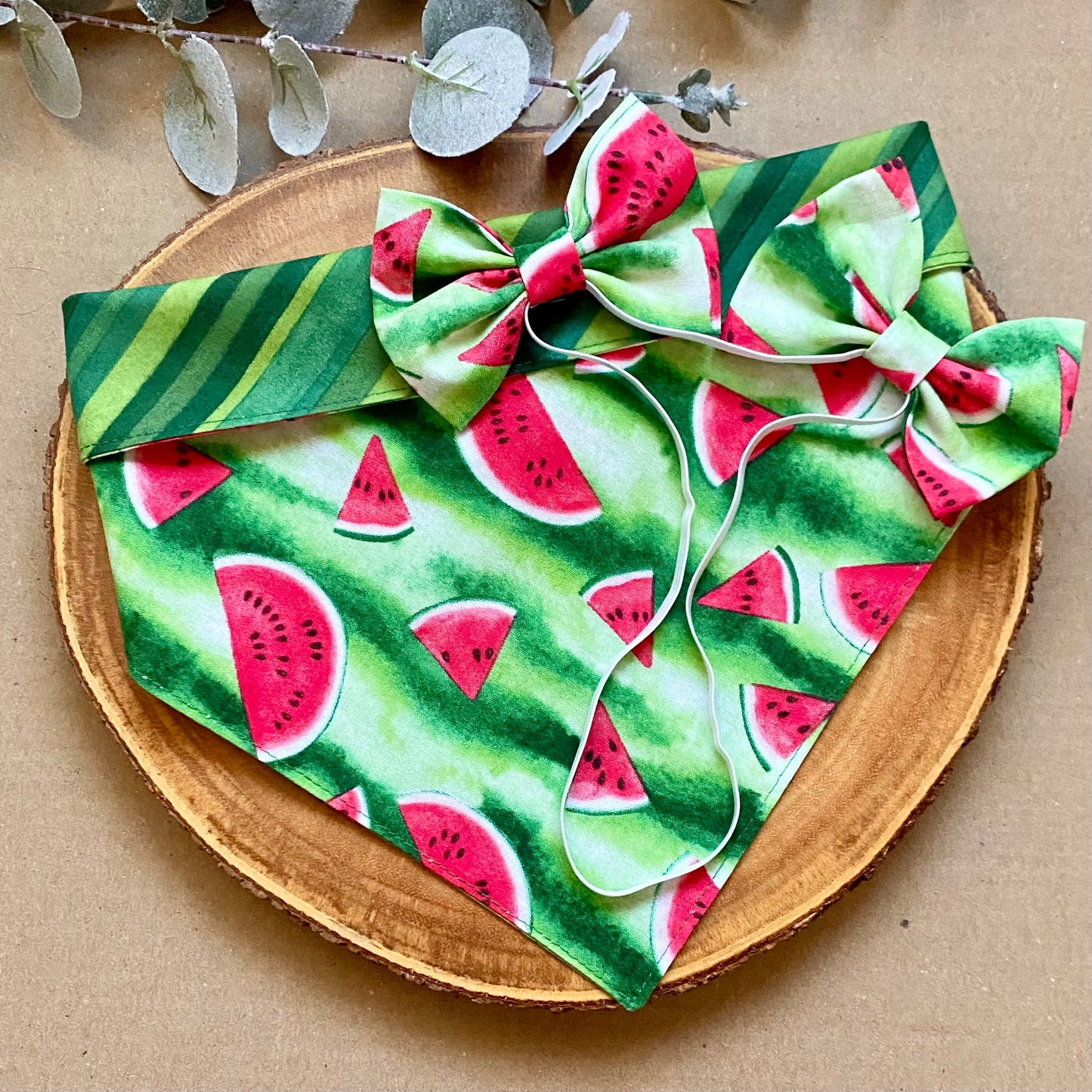 Watermelon Dog Double Bows