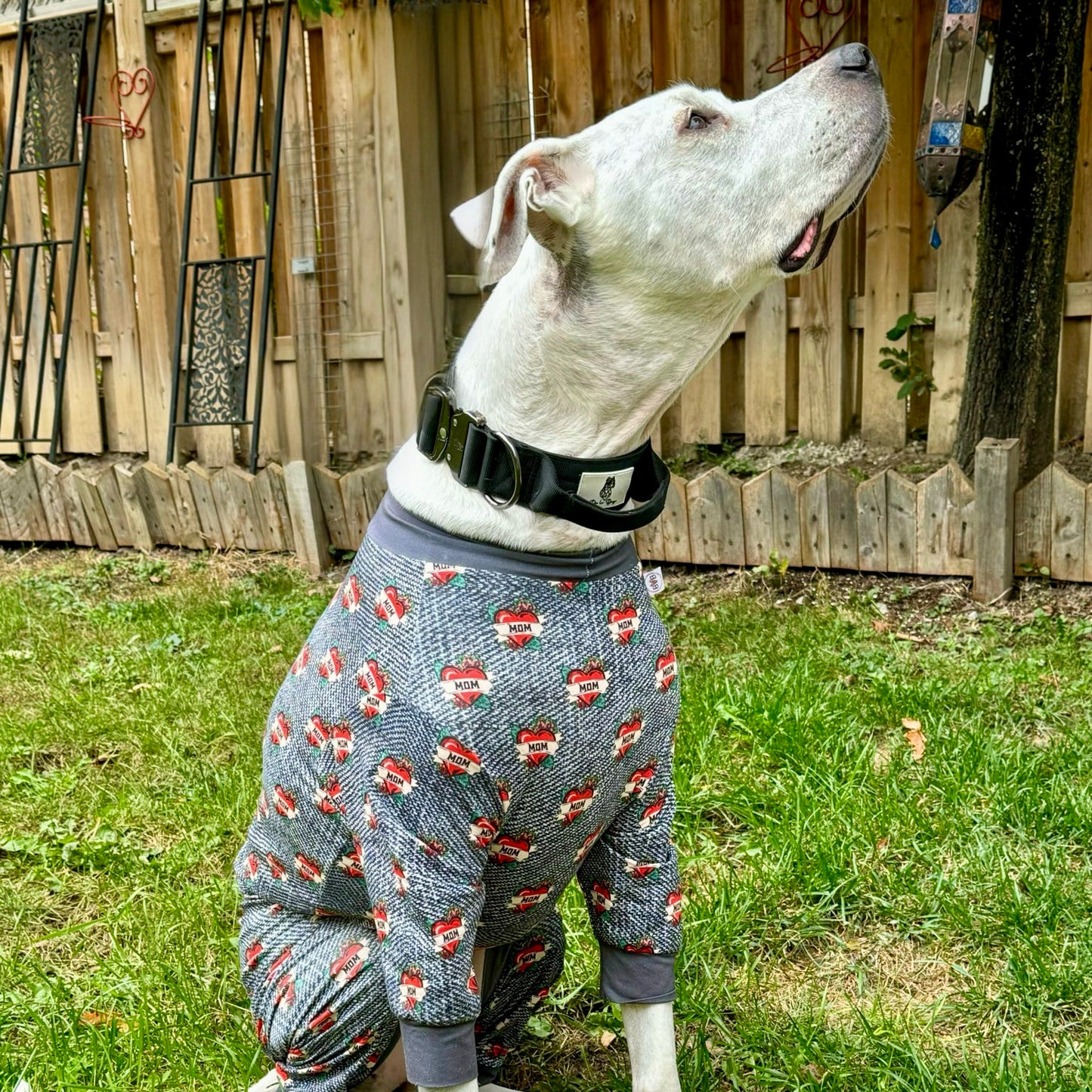 Large Doug Argentina wearing Mom printed bully love boutique PJs showing fit