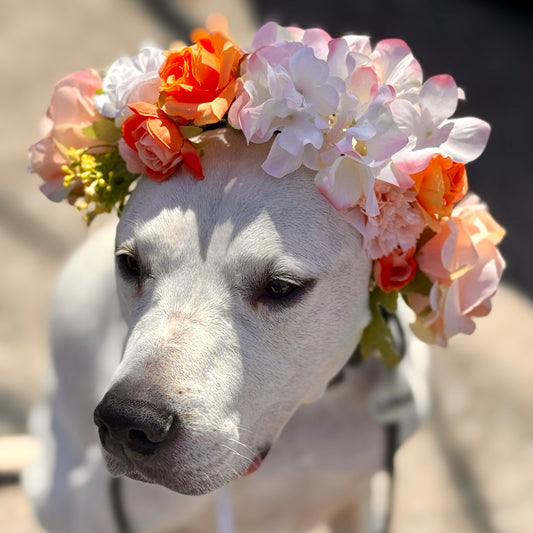 Peachy Keen Flower Crown