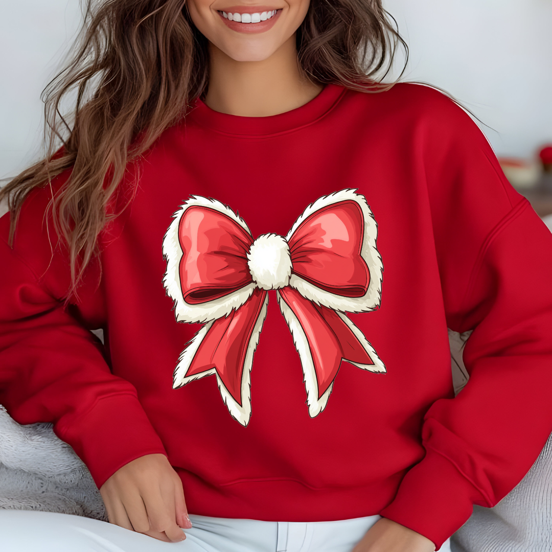 Santa Bow Dog Hoodie