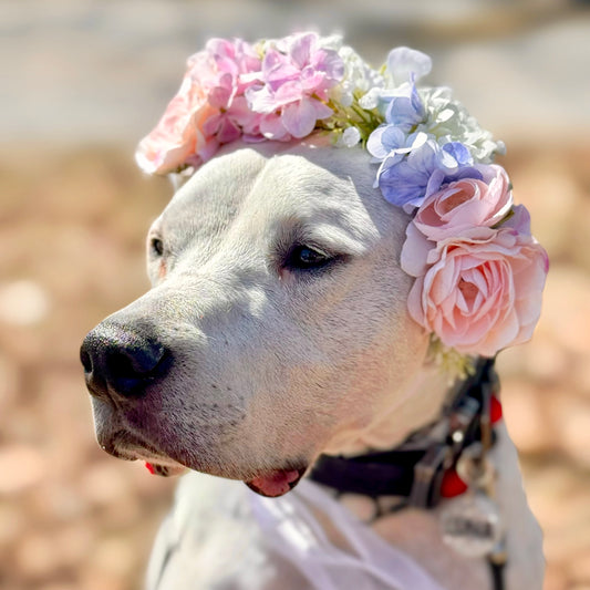 Pastel Love Flower Crown