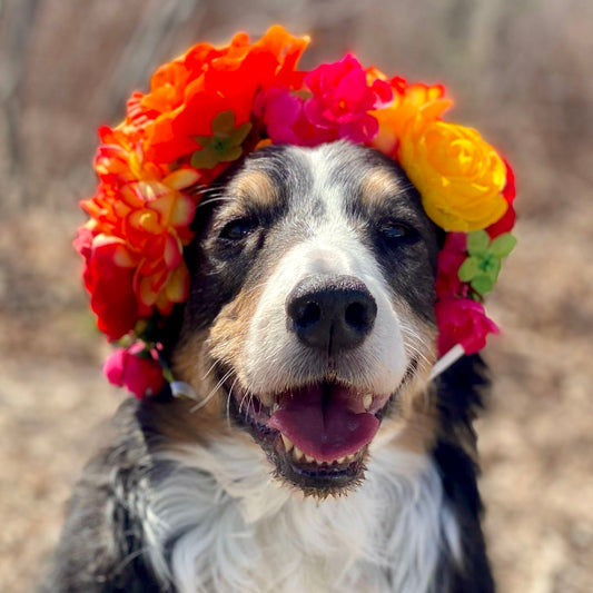 Sunrise Flower Crown