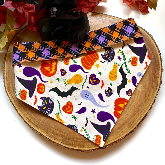 Witch’s Brew Bandana