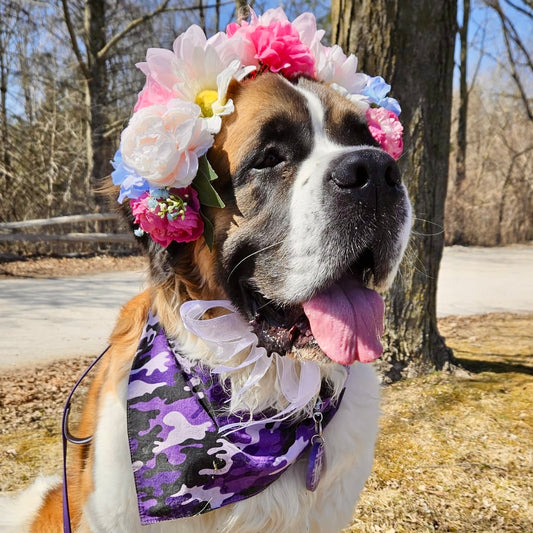 Spring Flower Crown