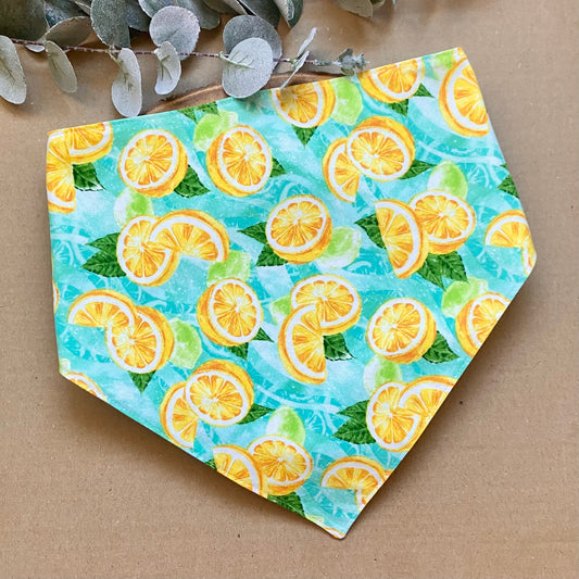 Lemon Dog Bandana