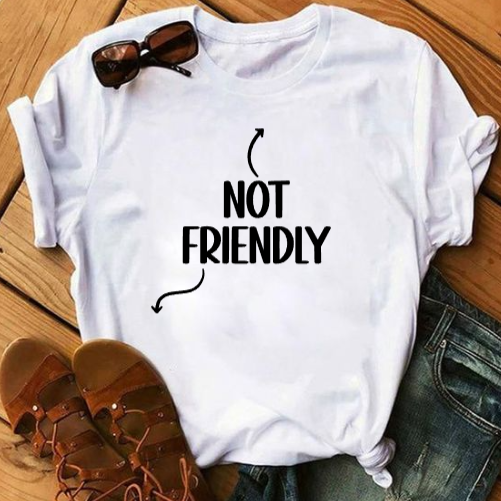 Not Friendly V-neck Tshirt